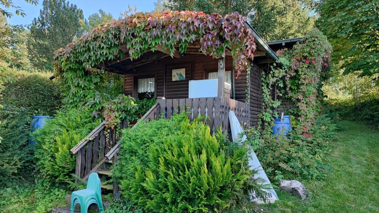 Cafe Pension Sonnenkanzel Staatsbad Bruckenau Bagian luar foto